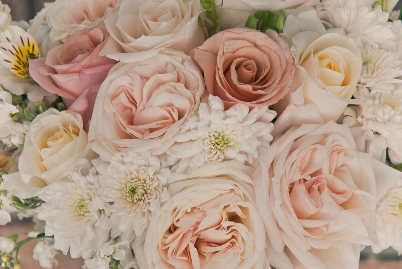 A stunning bouquet of pastel pink roses mixed with white chrysanthemums, perfect for weddings.